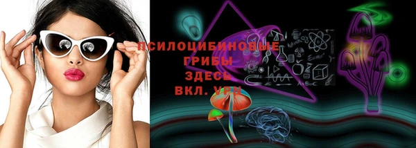 молекула духа Белоозёрский