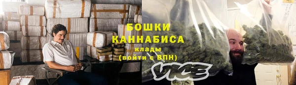 молекула духа Белоозёрский