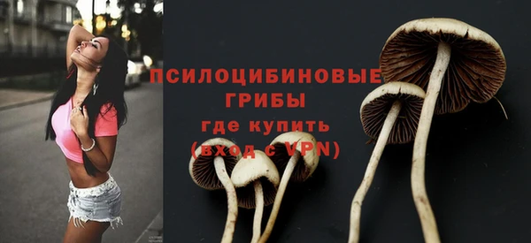 молекула духа Белоозёрский