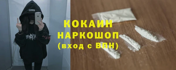 молекула духа Белоозёрский