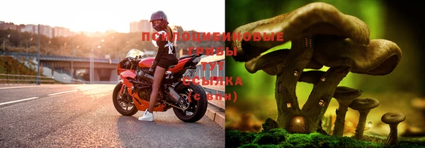молекула духа Белоозёрский
